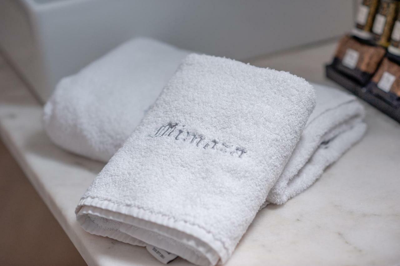 Mimoza Hotel Spétses Buitenkant foto