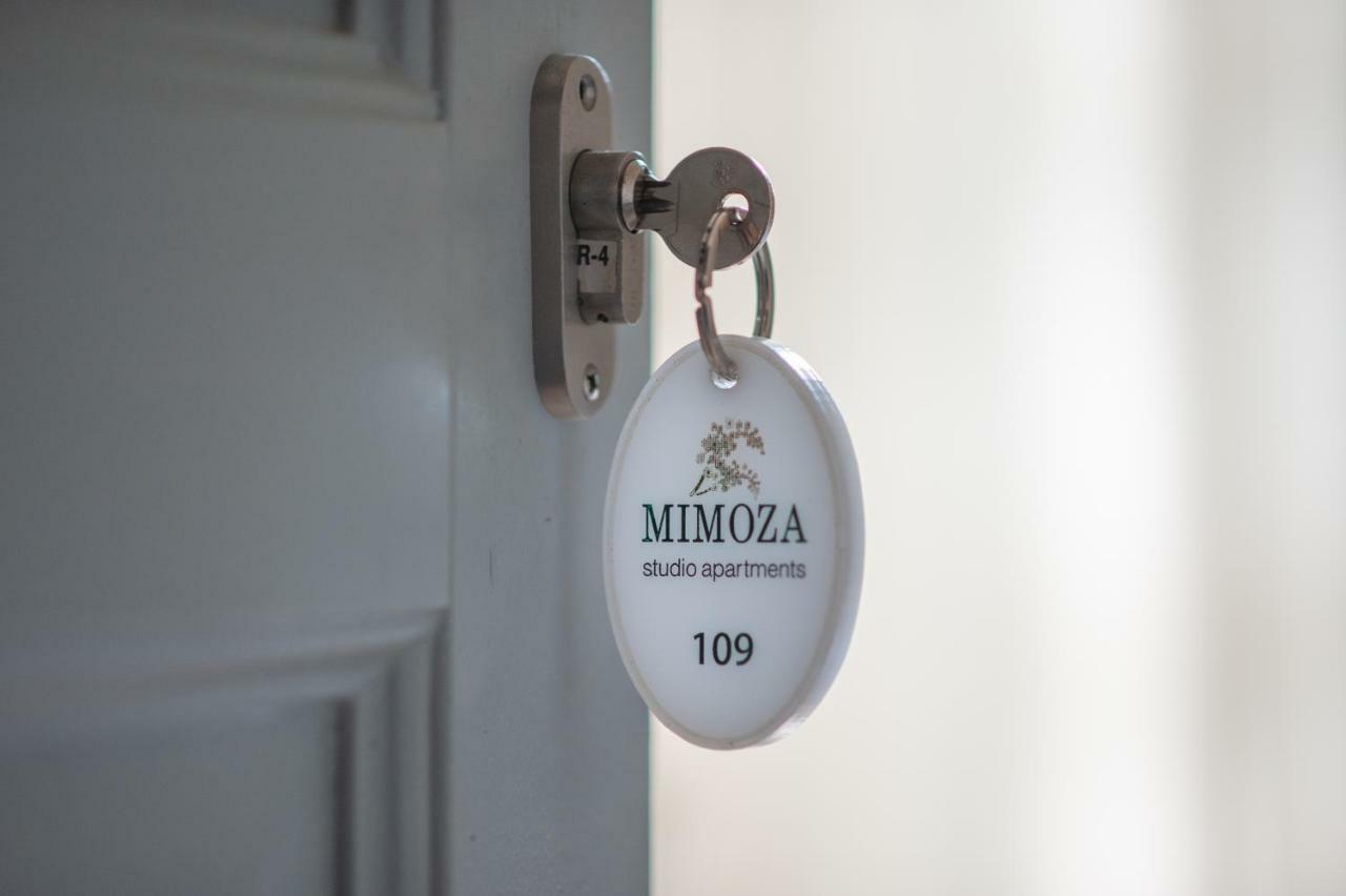 Mimoza Hotel Spétses Buitenkant foto
